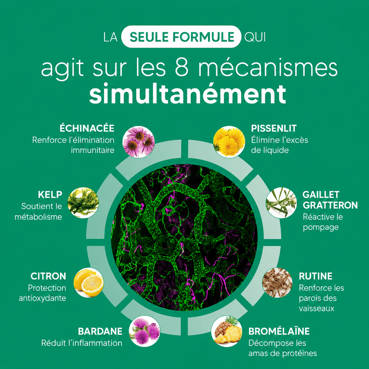 Nervia™ — Gélules de Drainage Lymphatique · Transformation totale en 60 jours