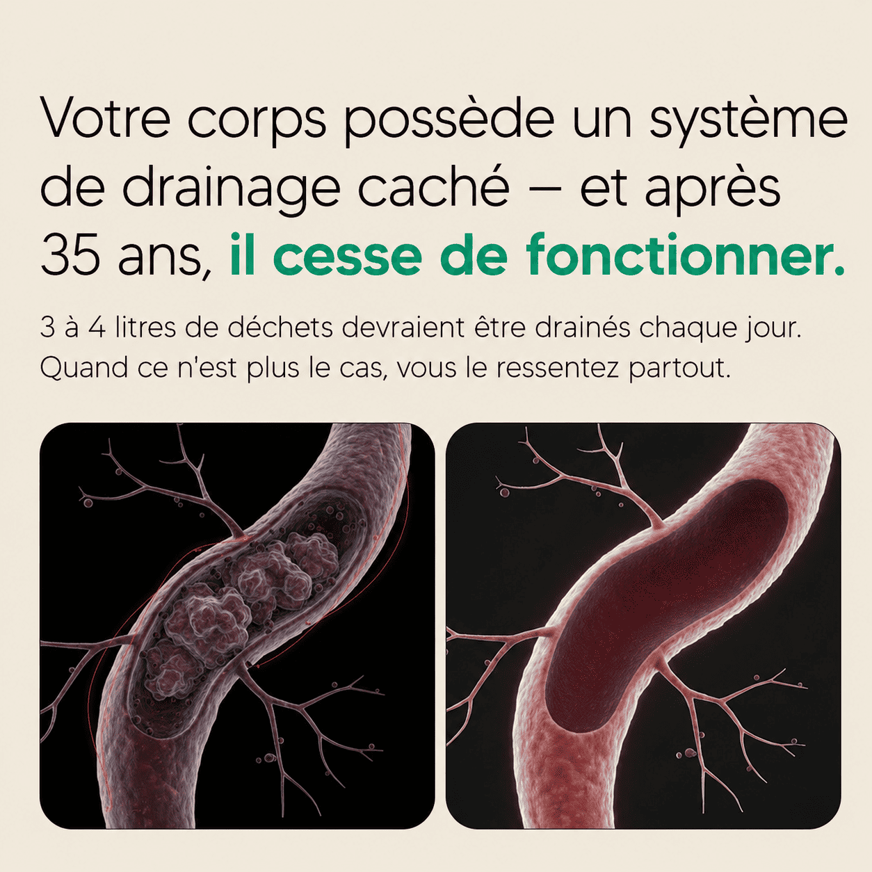 Nervia™ — Gélules de Drainage Lymphatique · Transformation totale en 60 jours