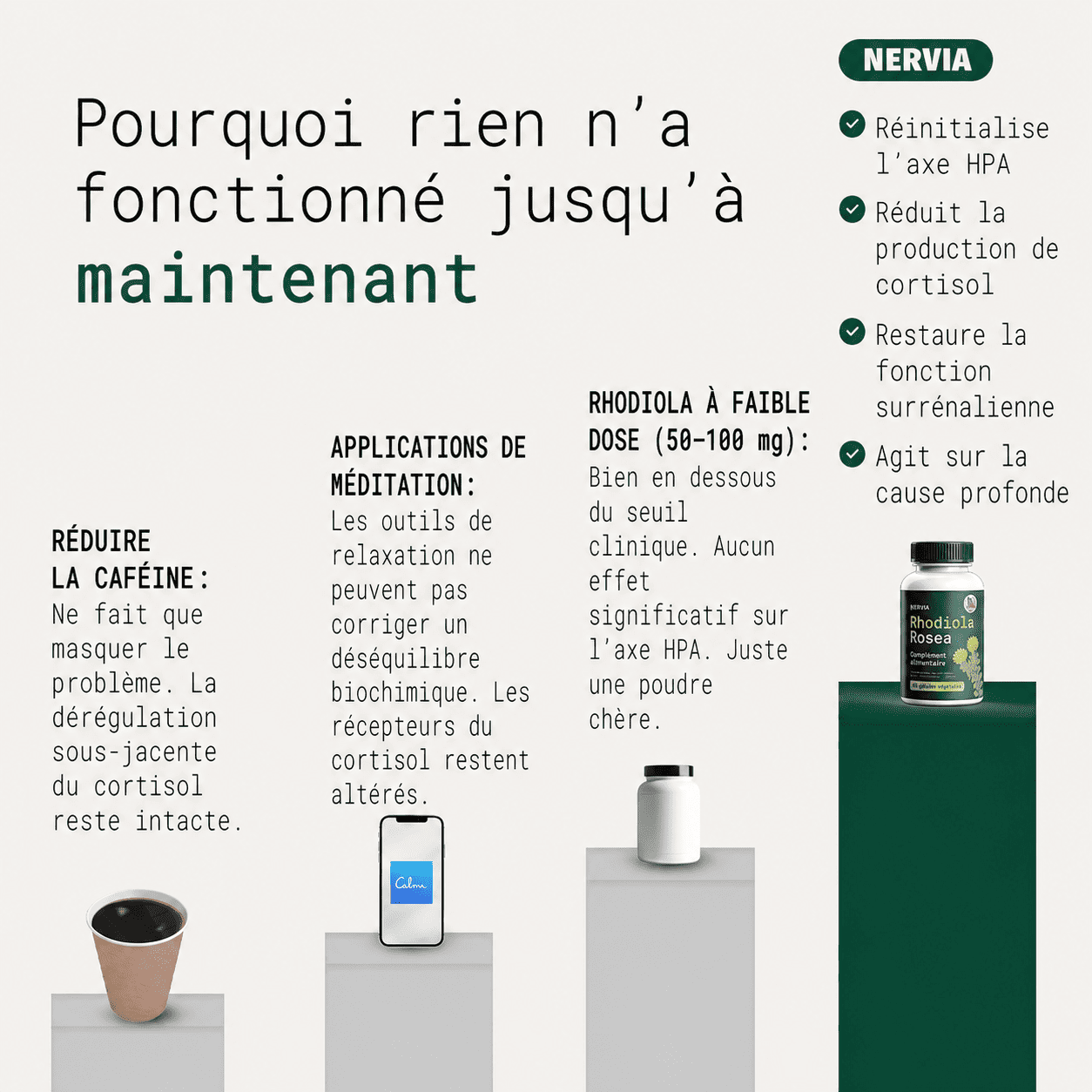 Rhodiola Rosea Nervia™ - Adaptogène naturel - mieux gérer le stress, l’énergie et les ballonnements
