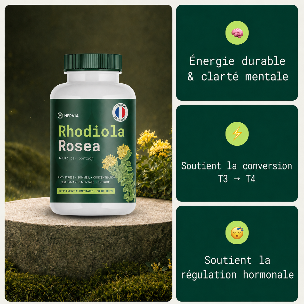 Rhodiola Rosea Nervia™ - Adaptogène naturel - mieux gérer le stress, l’énergie et les ballonnements