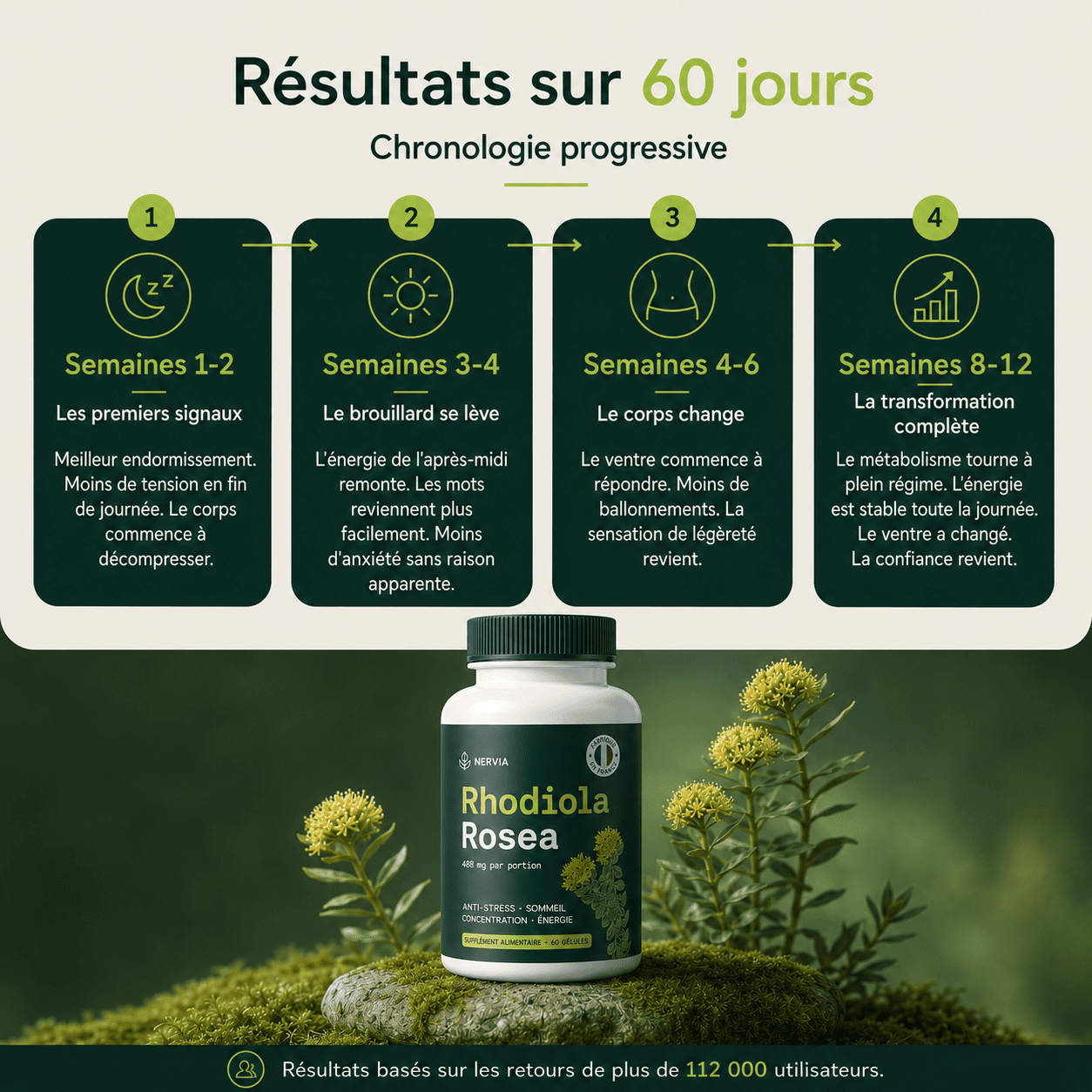 Rhodiola Rosea Nervia™ - Adaptogène naturel - mieux gérer le stress, l’énergie et les ballonnements