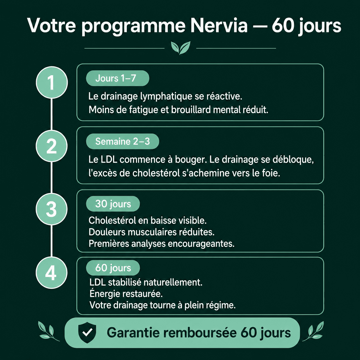 Nervia™ — Gélules de Drainage Lymphatique · Transformation totale en 60 jours